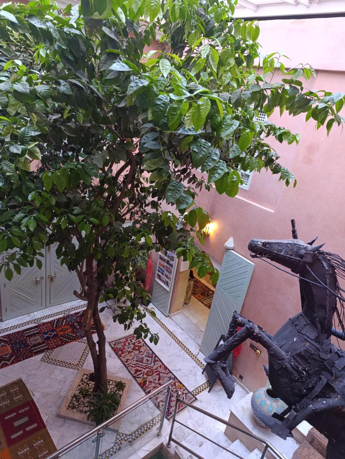 فندق رياض مولود مراكش المظهر الخارجي الصورة